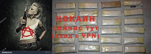 дживик Няндома