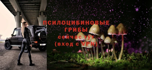 2c-b Алзамай