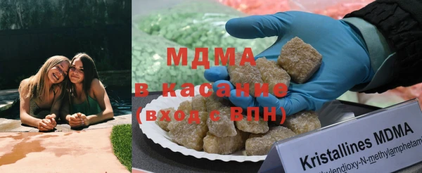 прущие грибы Алексеевка